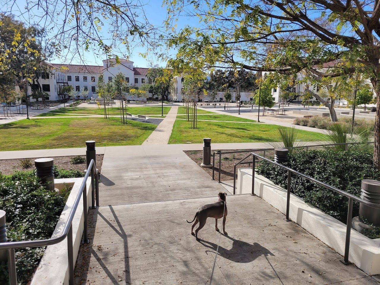 Photo of 2110 Bonsallo Ave at 2110 Bonsallo Ave Los Angeles, CA 90007