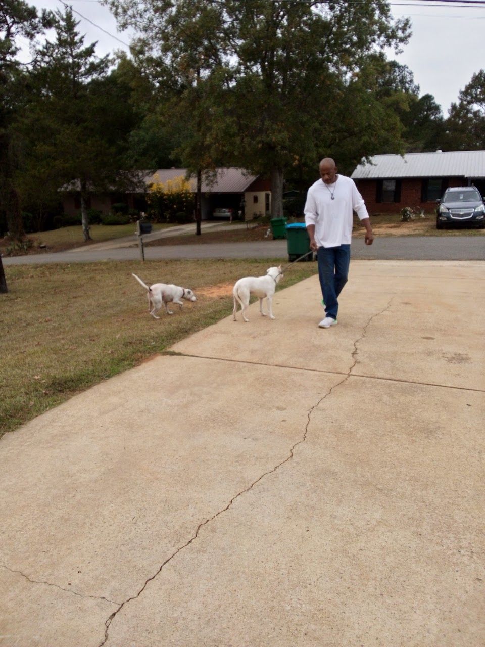 Photo of AMBERWOOD VILLAS. Affordable housing located at 240 AMBERWOOD DR SULLIGENT, AL 35586