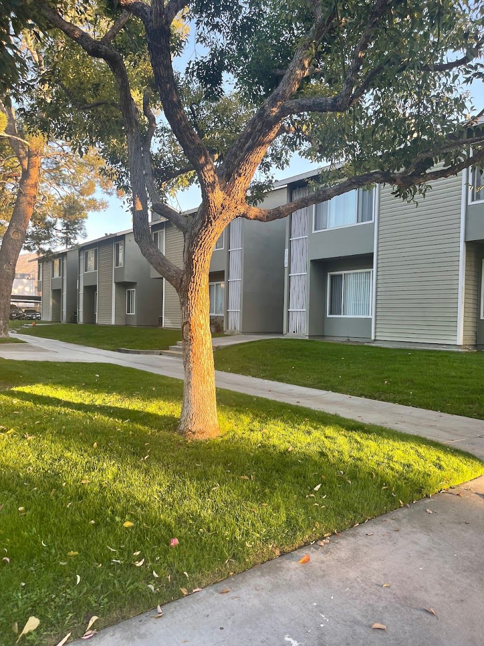 Photo of RIVERSIDE GARDENS. Affordable housing located at 1245 W LINDEN ST RIVERSIDE, CA 92507