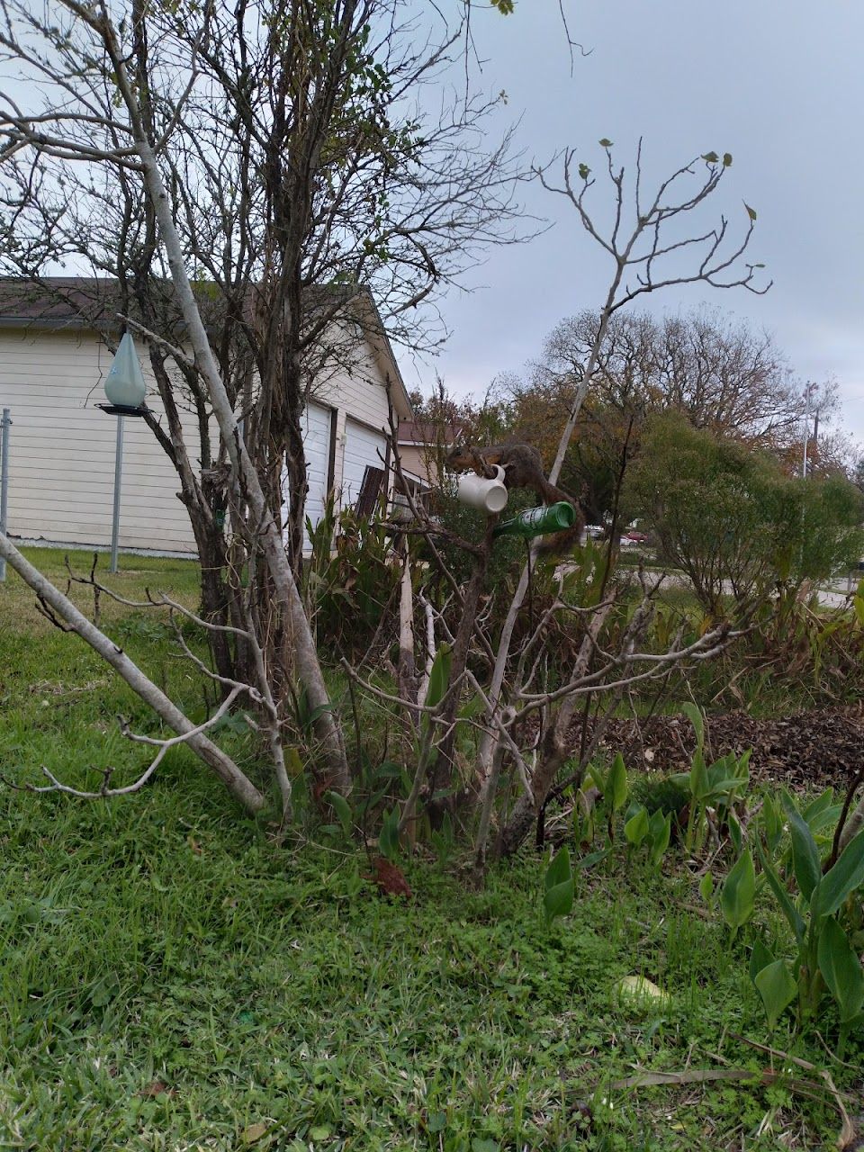 Photo of Yale Village Apartments at 5673 Yale St Houston, TX 77076