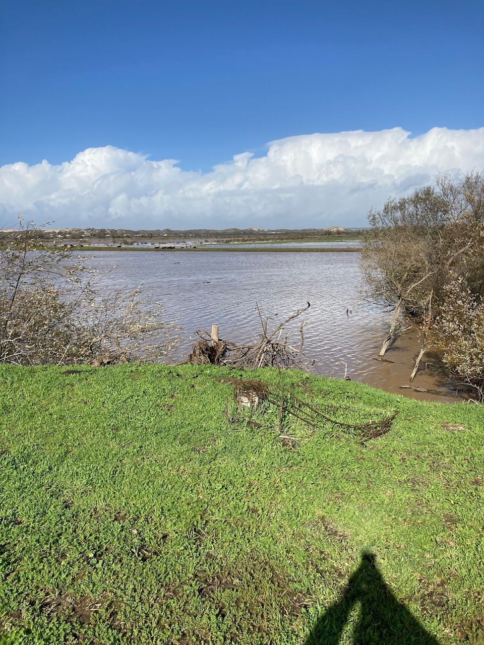 Photo of RIVER VIEW. Affordable housing located at 220 CALLE CESAR CHAVEZ GUADALUPE, CA 