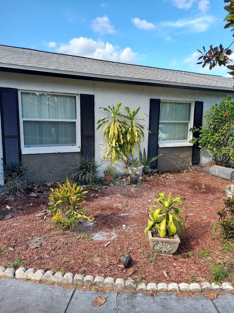 Photo of CINNAMON COVE at 12401 N 15TH ST TAMPA, FL 33612