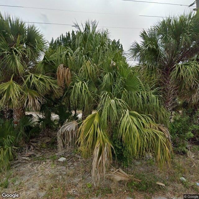 Photo of Ekos at Bayonet Point. Affordable housing located at 7555 McDowell Way Hudson, FL 34667