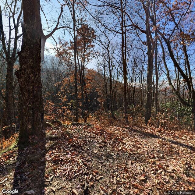 Photo of Meribel. Affordable housing located at 100 Chenoweth Ln Weaverville, NC 28787