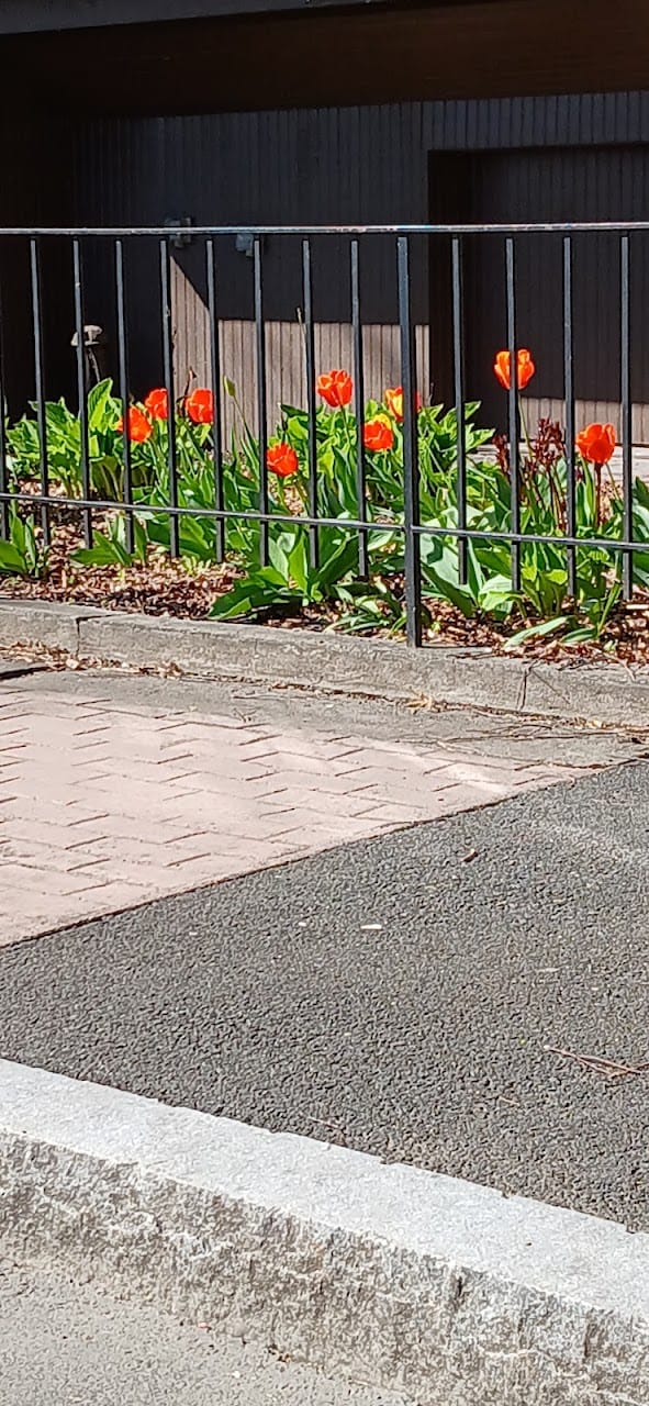 Photo of ALBANY HOUSING AUTHORITY at 252 NORTH PEARL STREET ALBANY, NY 12202