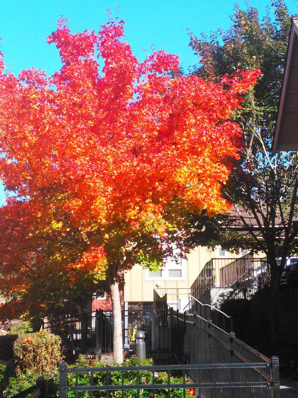 Photo of CROFT PLACE TOWNHOMES. Affordable housing located at 6701 21ST AVE SW SEATTLE, WA 98106