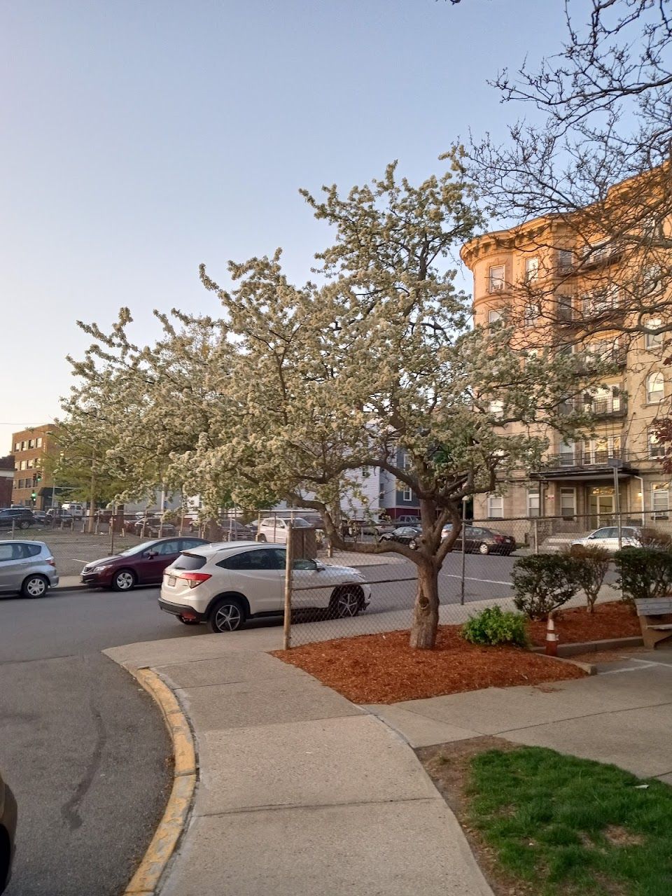 Photo of LEISURE TOWER. Affordable housing located at 10 FARRAR ST LYNN, MA 01902