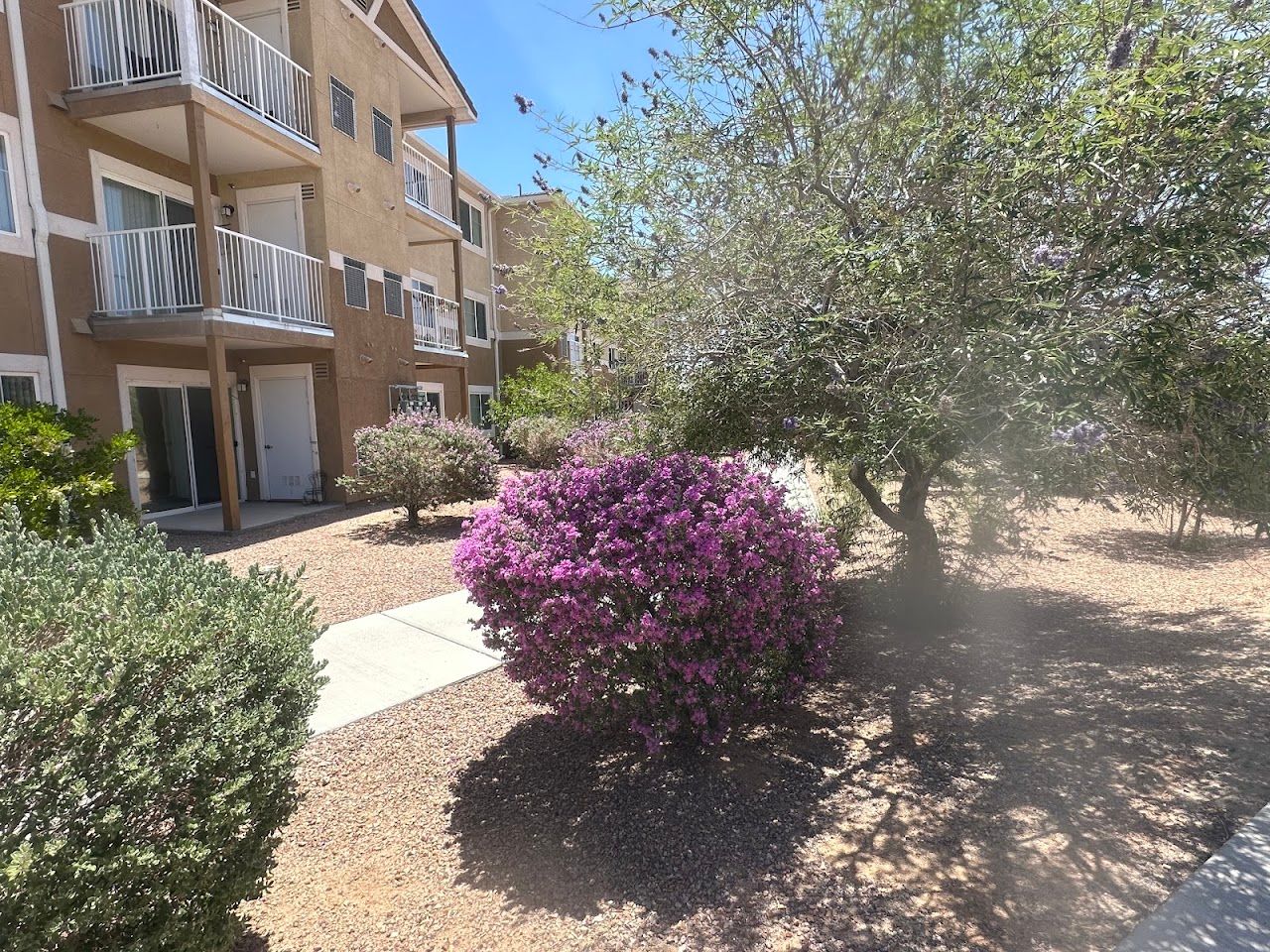 Photo of Vintage At Laughlin. Affordable housing located at 2250 Cougar Dr Laughlin, NV 89029
