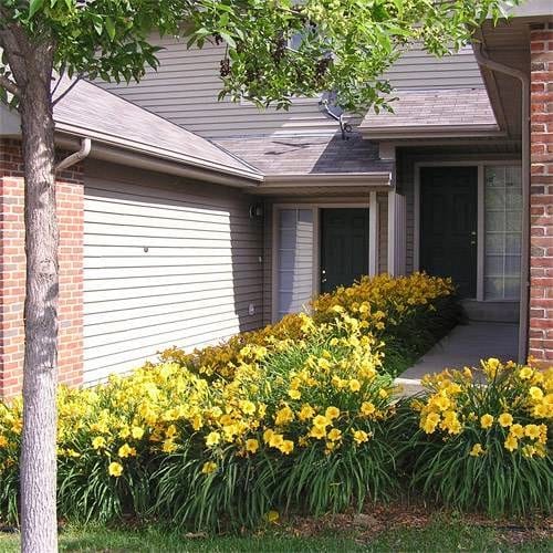 Photo of LAKE SHORE TOWNHOMES (FKA RICE LAKE TOWNHOMES). Affordable housing located at MULTIPLE BUILDING ADDRESSES MAPLE GROVE, MN 55369