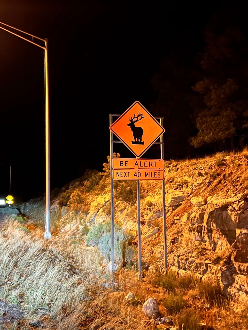 Photo of Sandstone Highland Senior. Affordable housing located at 300 W High Country Trl Flagstaff, AZ 86001