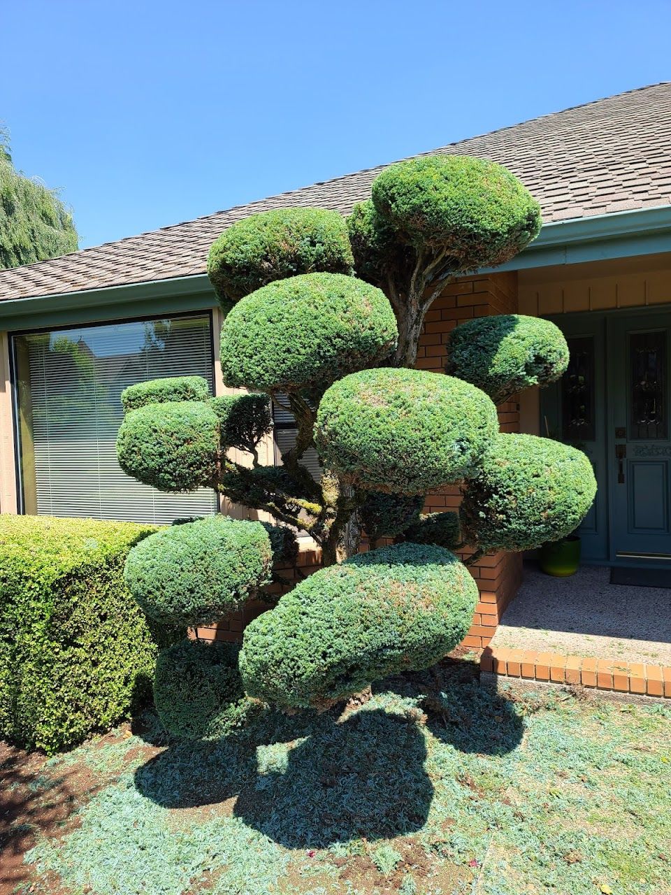 Photo of WILLAKENZIE TOWNHOUSES at 3190 WILLAKENZIE RD EUGENE, OR 97401