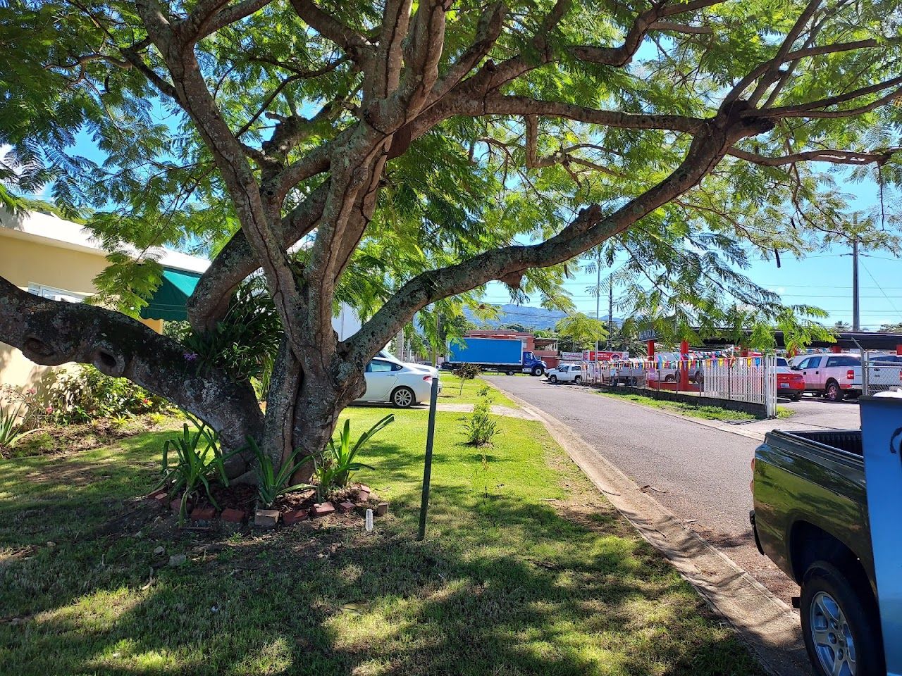 Photo of PATILLAS ELDERLY APTS. Affordable housing located at PR 3 KM 122 3 INT PATILLAS, PR 