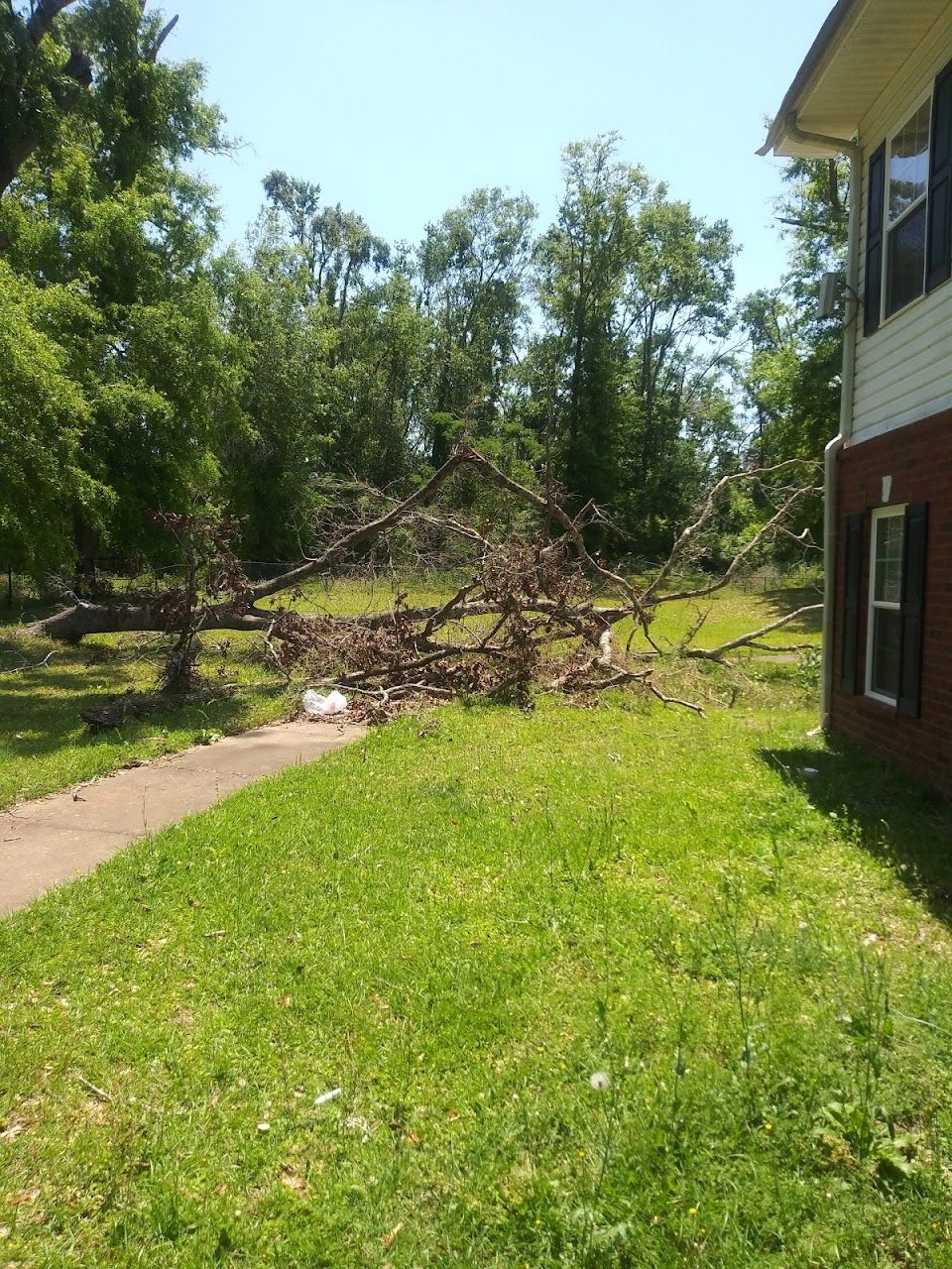 Photo of COURTES DE EMERALD APARTMENTS. Affordable housing located at 1500 S WASHINGTON ST BAINBRIDGE, GA 39819