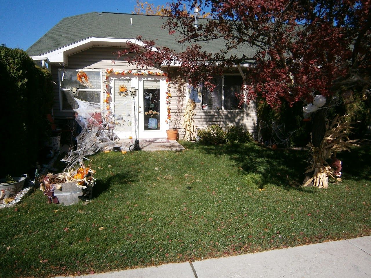 Photo of BALTRAY. Affordable housing located at 1285 SOUTH LINCOLN AVENUE JEROME, ID 83338