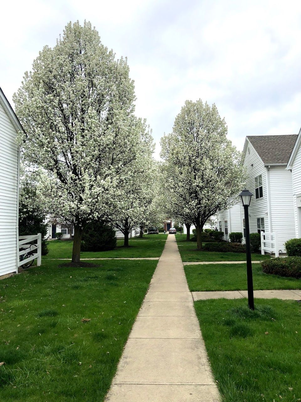 Photo of CROSSWINDS VILLAGE. Affordable housing located at 1600 BELVOIR BLVD COLUMBUS, OH 43228