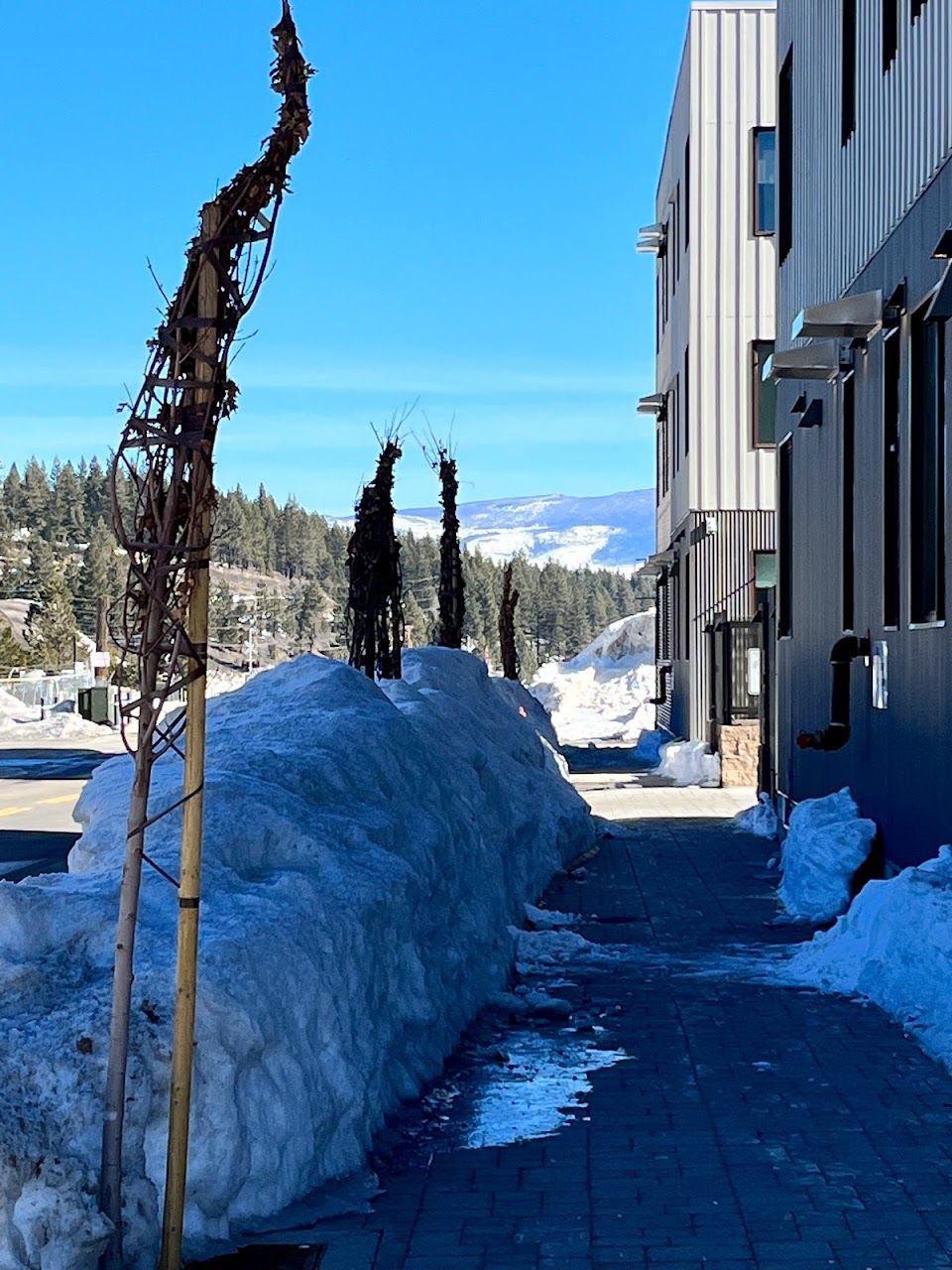 Photo of TRUCKEE ARTIST LOFTS. Affordable housing located at 10121 CHURCH STREET TRUCKEE, CA 96161