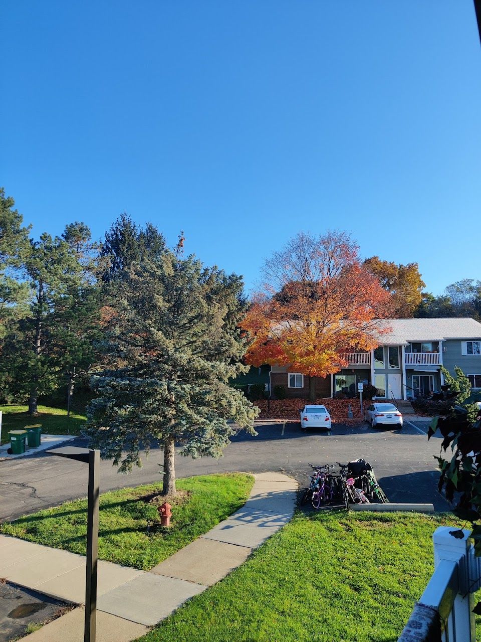 Photo of MAPLE HEIGHTS APTS. Affordable housing located at 260 N MAPLE RD SALINE, MI 48176