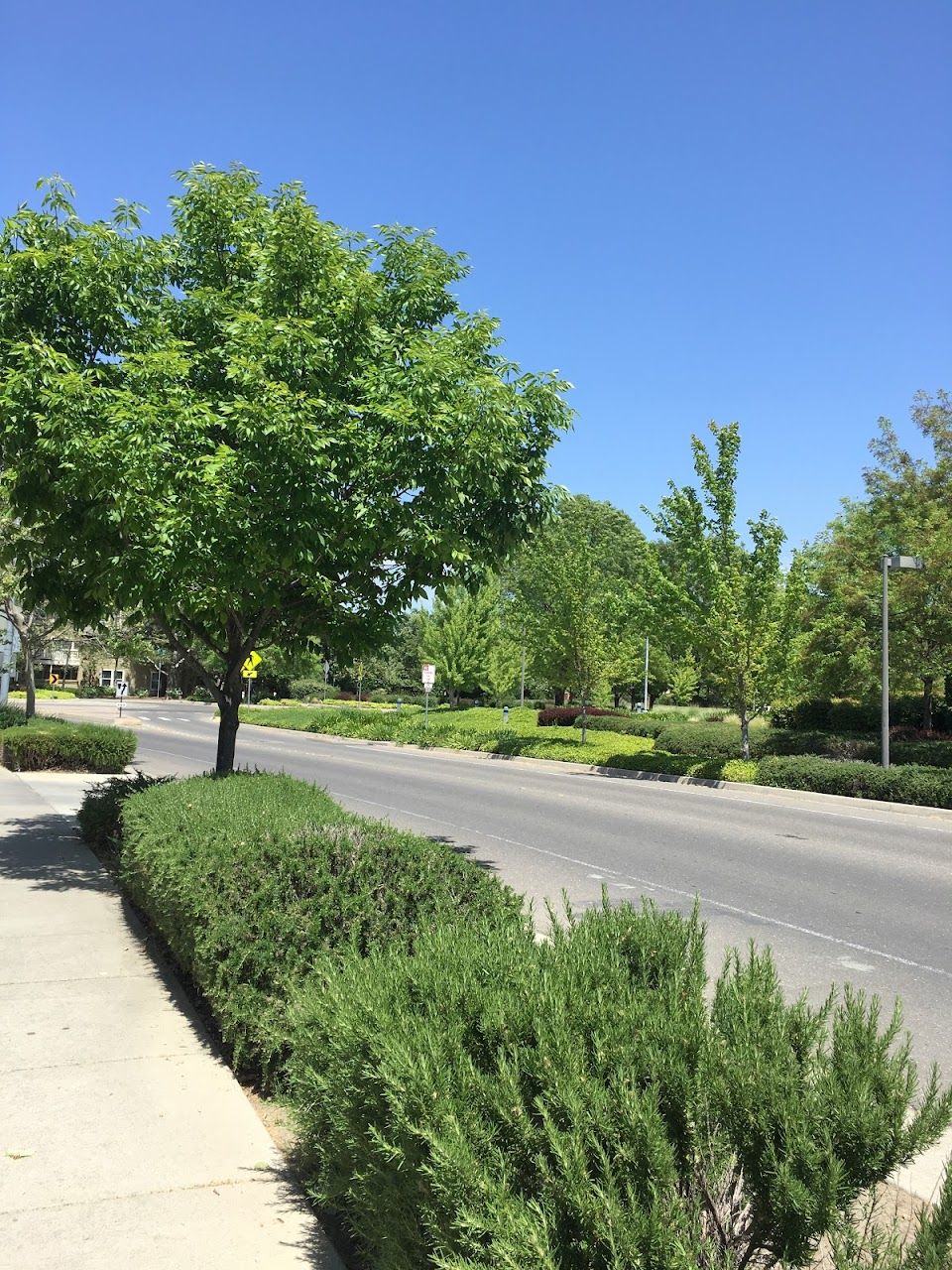 Photo of ELEANOR ROOSEVELT CIRCLE. Affordable housing located at 675 CANTRILL DR DAVIS, CA 95618