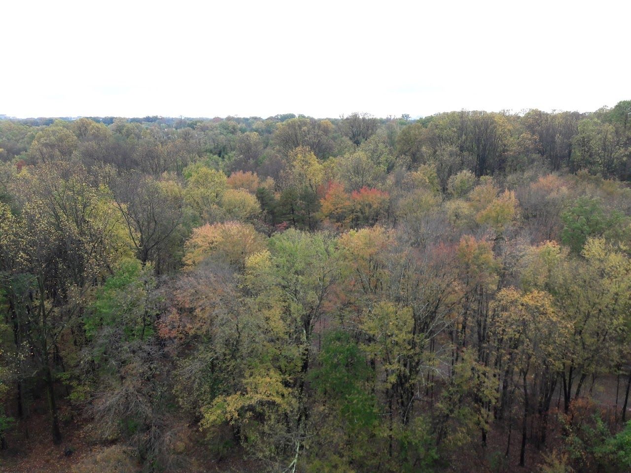 Photo of ARCOLA TOWERS. Affordable housing located at 1135 UNIVERSITY BOULEVARD WEST SILVER SPRING, MD 29092