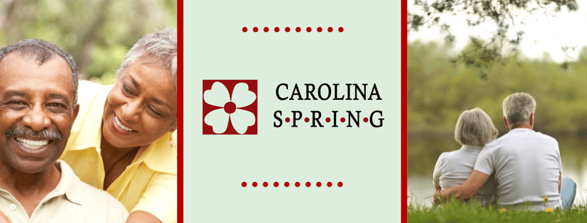 Photo of CAROLINA SPRING. Affordable housing located at 600 W POPLAR AVENUE CARRBORO, NC 27514