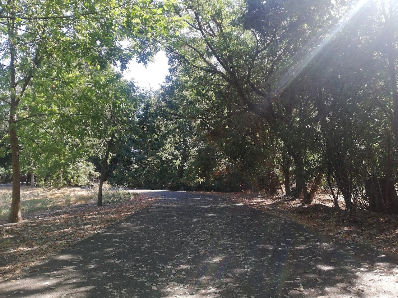 Photo of APARTMENTS AT SILVERADO CREEK at 3550 VILLA LN NAPA, CA 94558