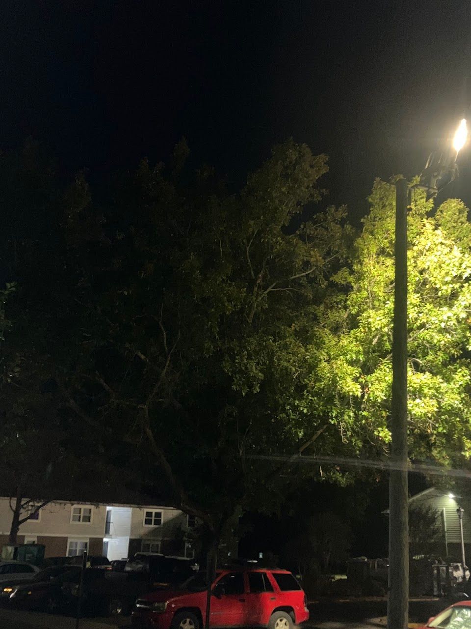 Photo of Springwood/Happy Valley Apartments. Affordable housing located at 1209 Indian Ave Rossville, GA 30741