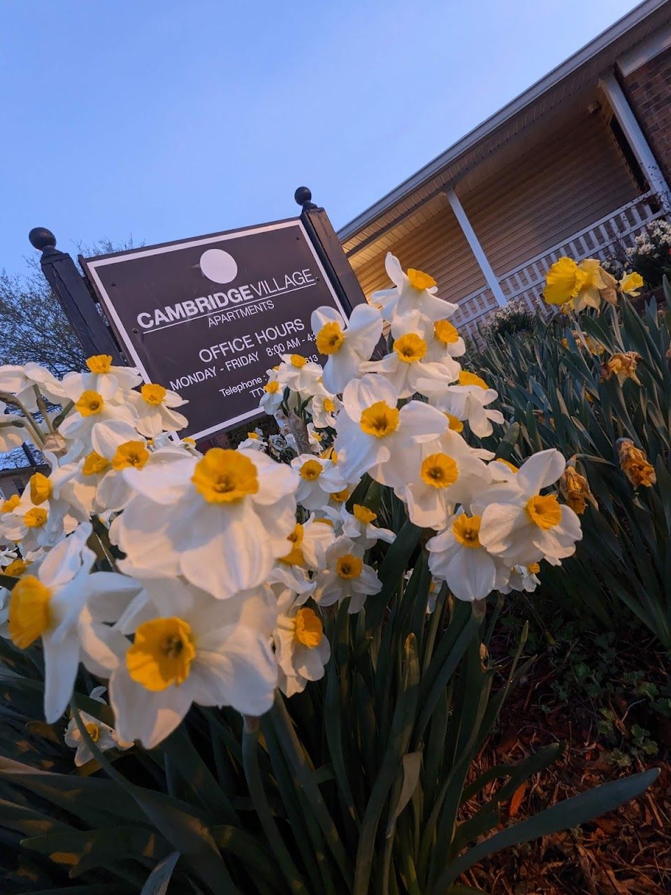 Photo of CAMBRIDGE VILLAGE APARTMENTS. Affordable housing located at 220 COLUMBIA COURT CAMBRIDGE, OH 43725