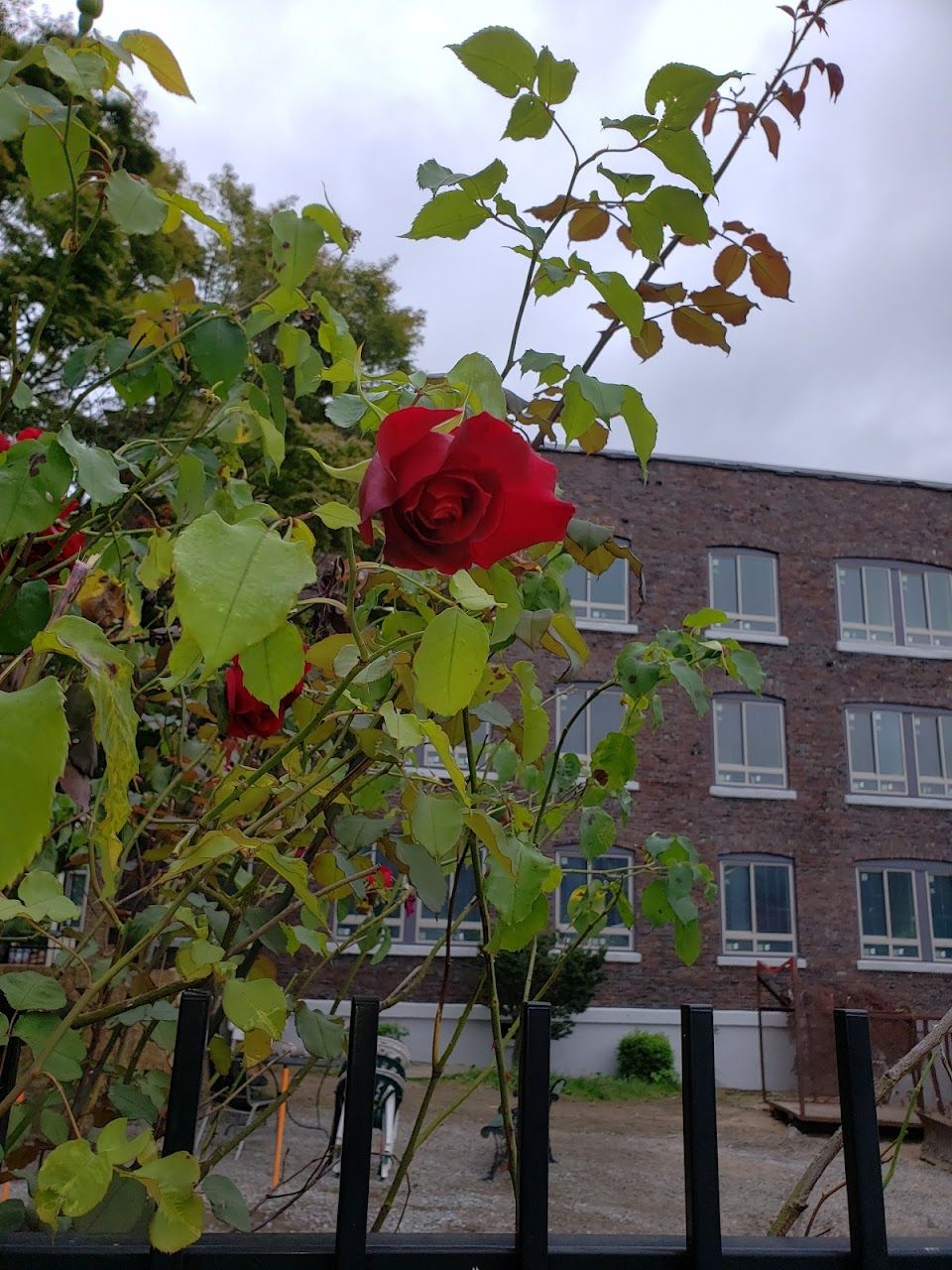 Photo of EL NOR APARTMENTS. Affordable housing located at 117 18TH AVENUE SEATTLE, WA 98122