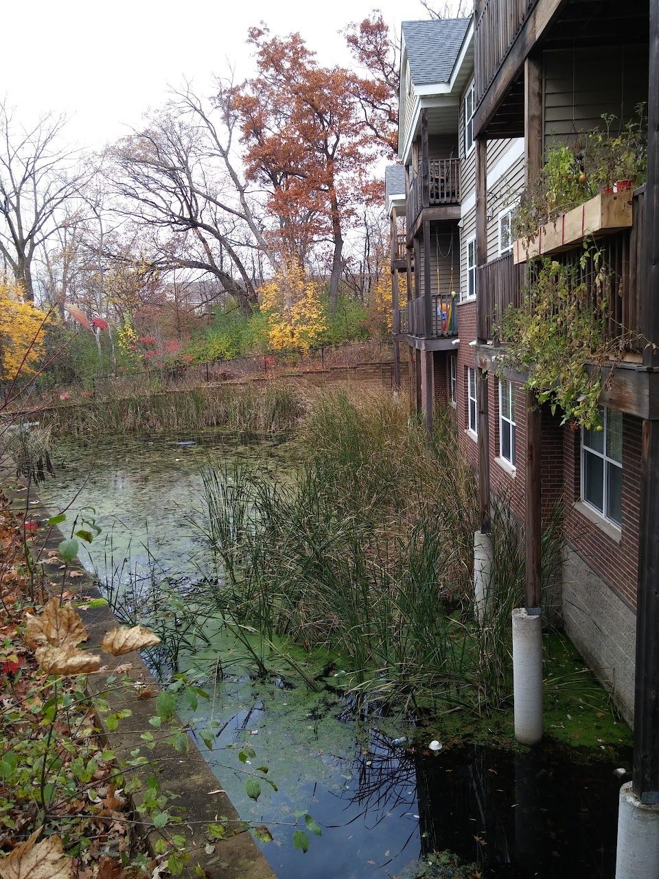 Photo of MAPLE RIDGE TOWNHOMES. Affordable housing located at MULTIPLE BUILDING ADDRESSES MAPLE GROVE, MN 55311