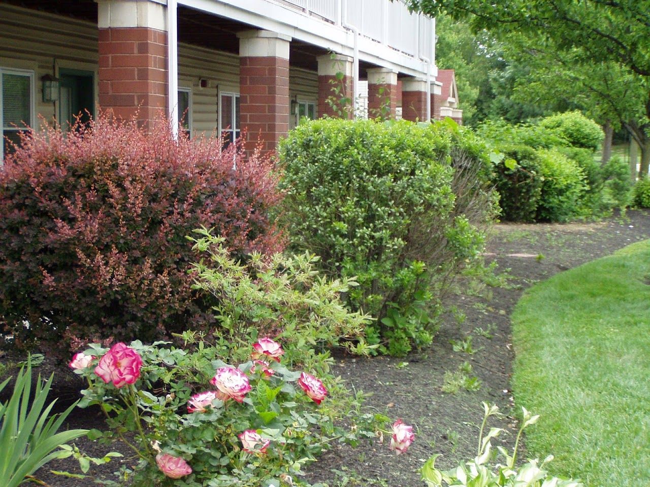 Photo of LUMBERTON INDEPENDENT LIVING CAMPUS. Affordable housing located at 100 INDEPENDENCE DR LUMBERTON, NJ 