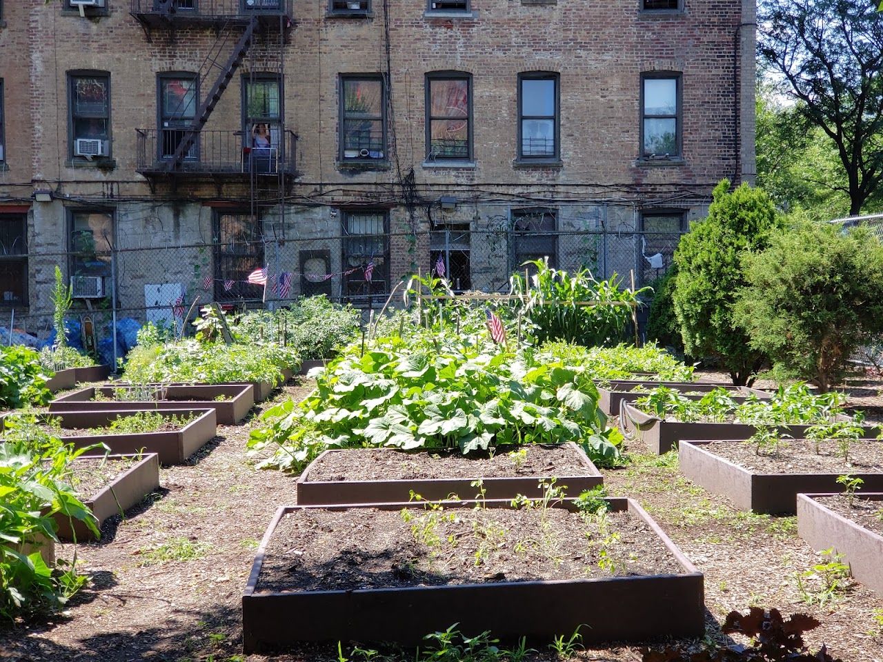 Photo of CHICA SUPPORTIVE HOUSING. Affordable housing located at 1022 REV JAMES A POLITE AVE BRONX, NY 10459