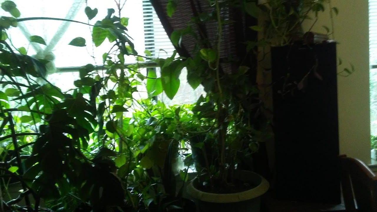 Photo of Foxwell Memorial Apartments at 3600-3700 Greenspring Ave Baltimore, MD 21215