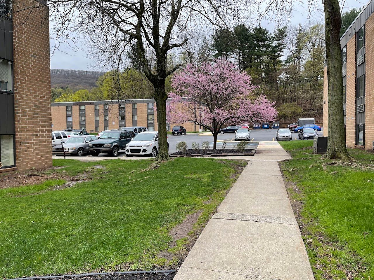 Photo of 1734 W Market St. Affordable housing located at 1734 W Market St Pottsville, PA 17901