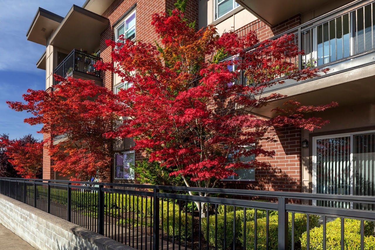 Photo of THE TERRACE AT MT SCOTT. Affordable housing located at 10125 SE BOB SCHUMACHER RD PORTLAND, OR 97086