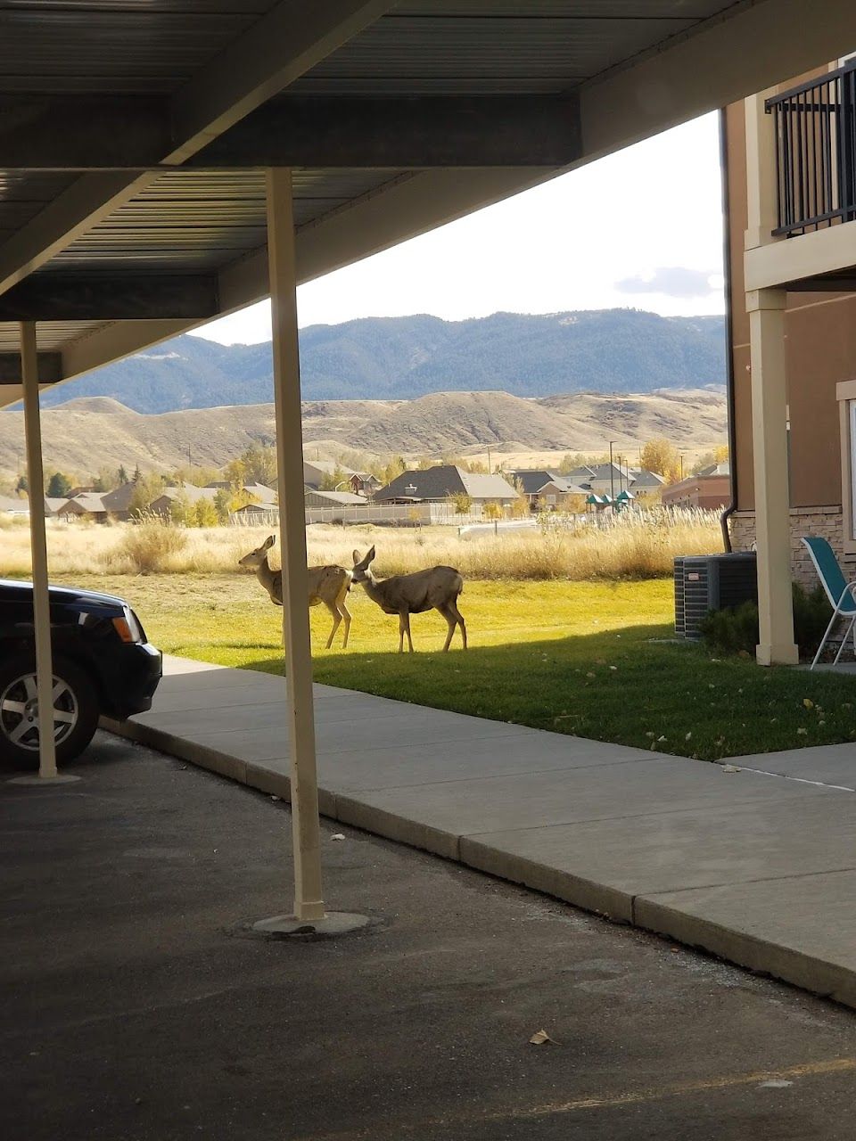 Photo of STONEY HILL APTS. Affordable housing located at 4134 TALON DR CASPER, WY 82604