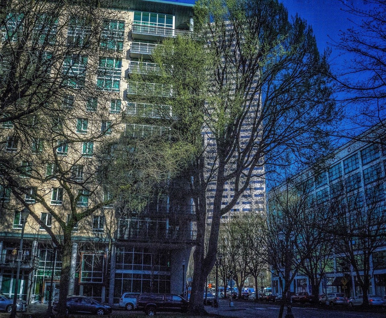 Photo of RICHARD L HARRIS BUILDING. Affordable housing located at 8 NW EIGHTH AVE PORTLAND, OR 97209