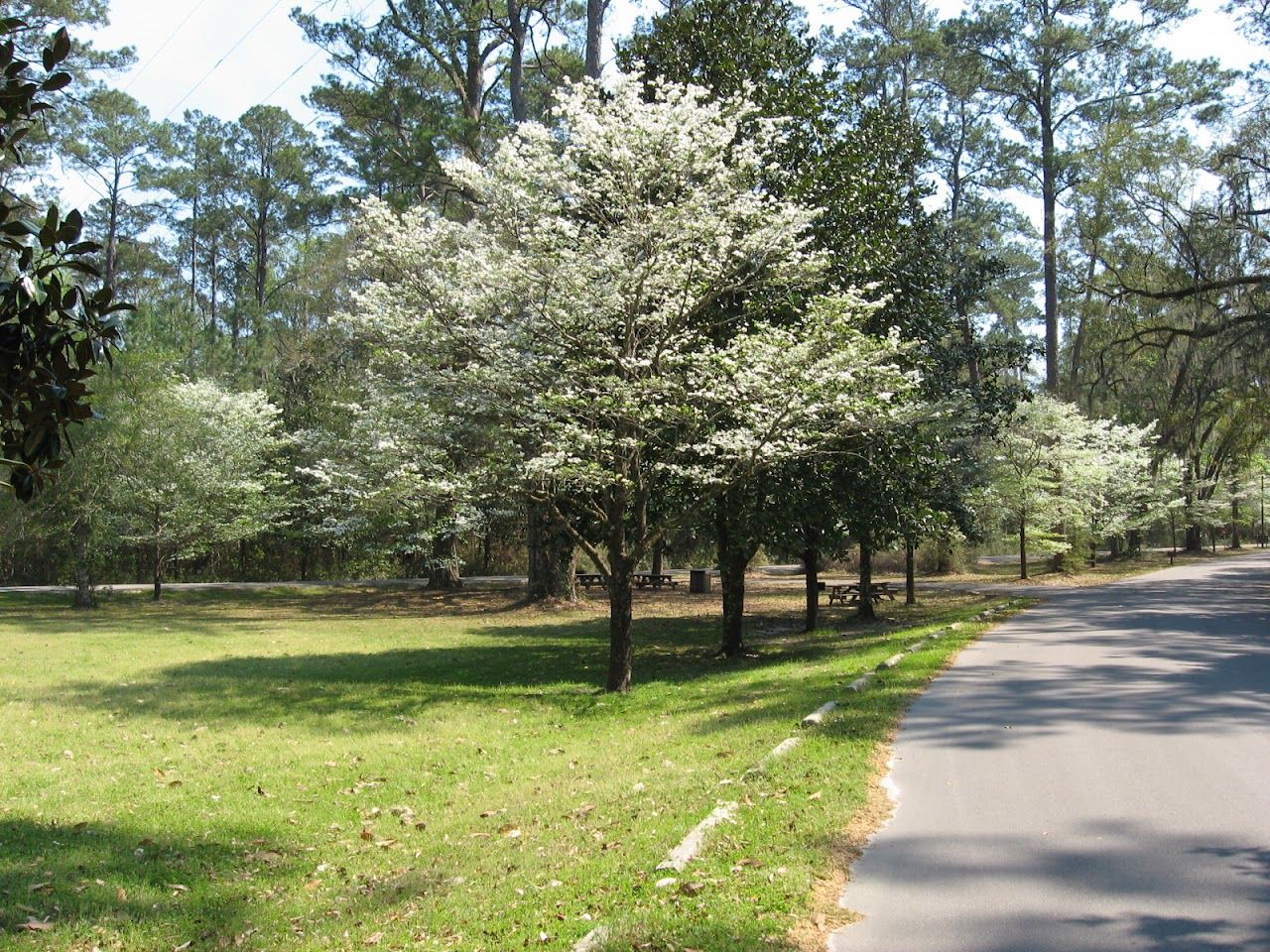 Photo of SOUTHERN VILLAS. Affordable housing located at 52 SUNRISE BOULEVARD ST AUGUSTINE, FL 32084