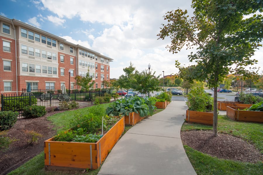 Photo of COMMUNITY HOUSING II at  BALTIMORE, MD 