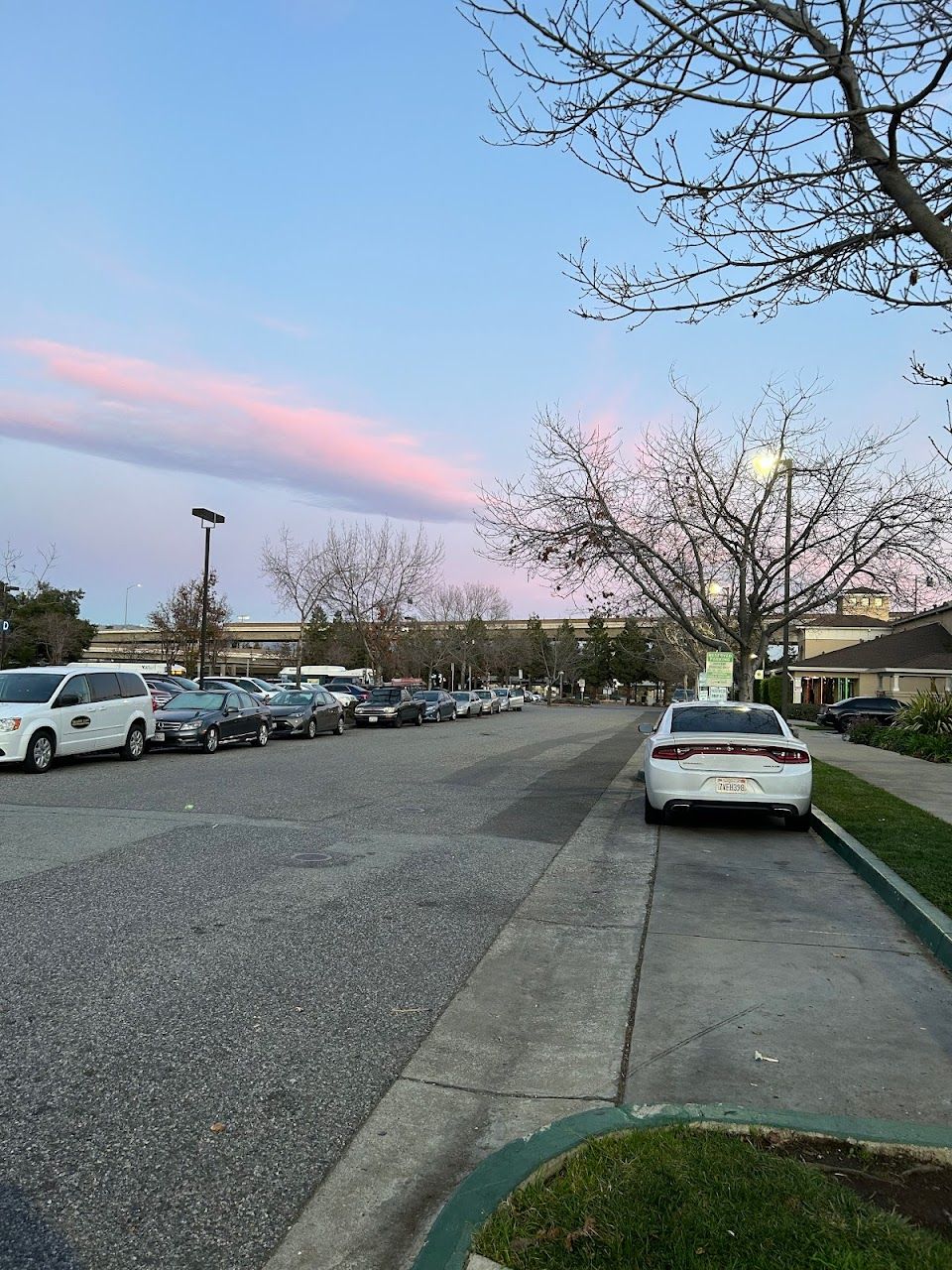 Photo of OHLONE CHYNOWETH COMMONS at 5300 TERNER WAY SAN JOSE, CA 95136