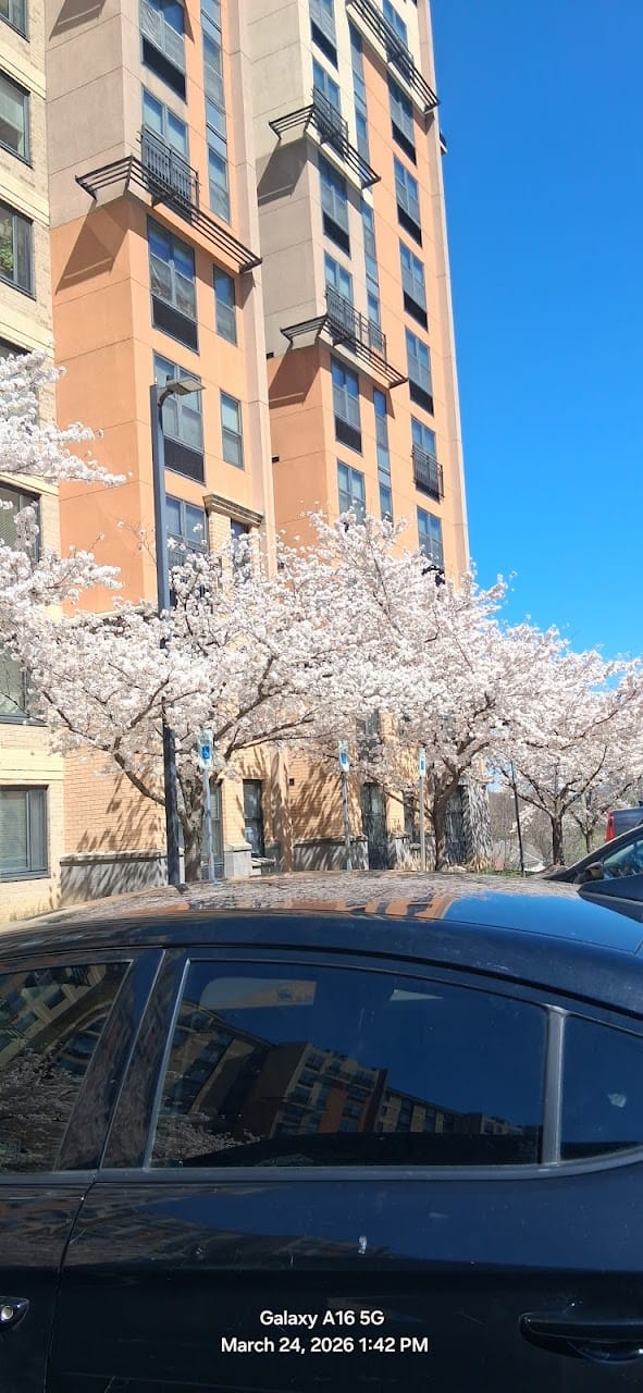 Photo of The Overlook at Oxon Run. Affordable housing located at 3700 9th St SE Washington, DC 20032