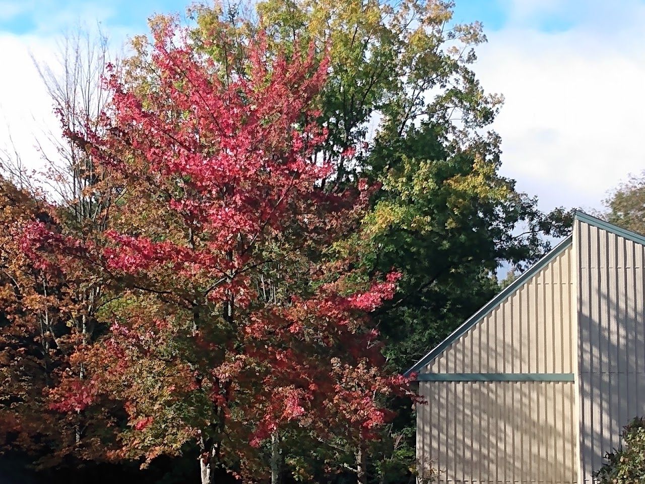 Photo of WHITCOMB WOODS. Affordable housing located at 128 W ST ESSEX JUNCTION, VT 05452