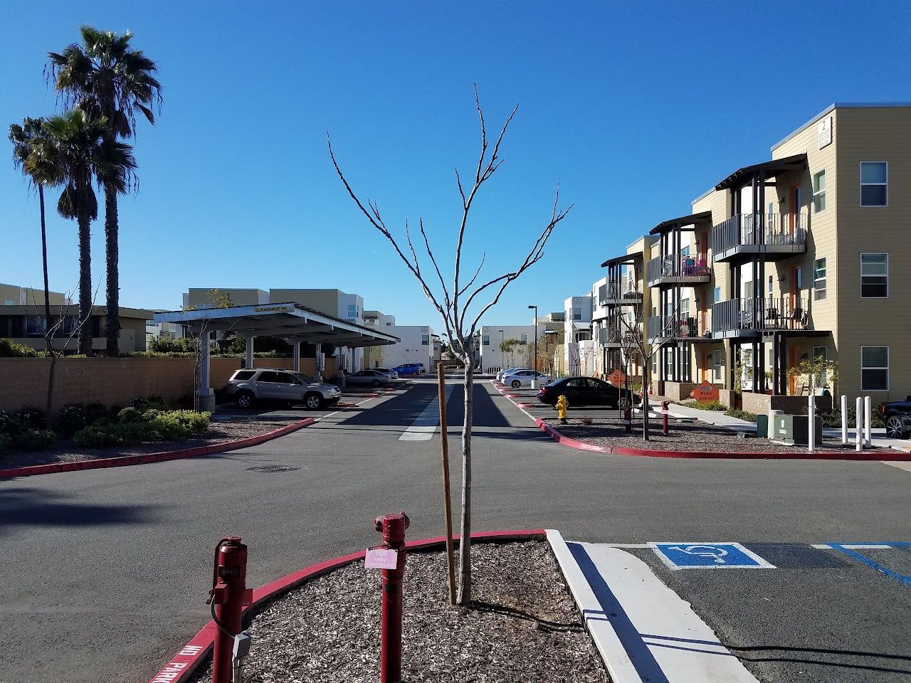 Photo of MESA COMMONS APARTMENTS. Affordable housing located at 6470 EL CAJON BLVD. SAN DIEGO, CA 92115