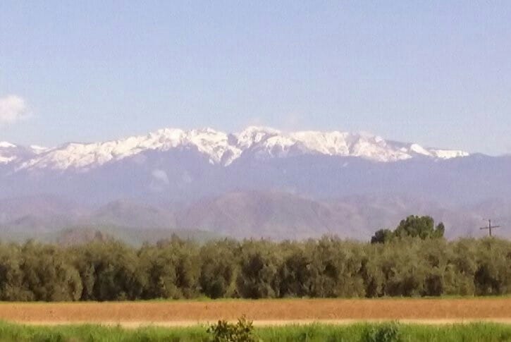 Photo of Santa Paulan Senior Apartments at 115 4th St Santa Paula, CA 93060