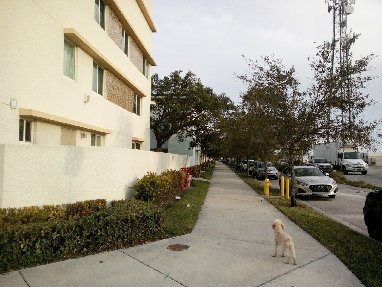 Photo of MAGNOLIA LANDING APTS. Affordable housing located at 25881 SW 143RD CT NARANJA, FL 33032