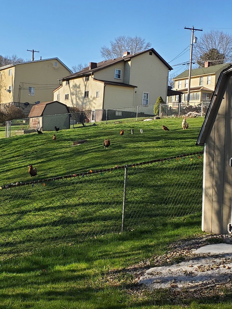 Photo of EXPORT SENIOR HOUSING. Affordable housing located at 5870 KENNEDY AVE EXPORT, PA 15632