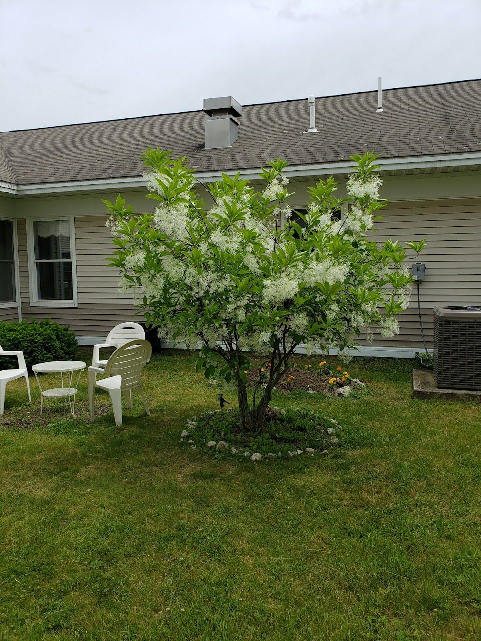 Photo of LARRABEE VILLAGE. Affordable housing located at 30 LIZA HARMON DR WESTBROOK, ME 04092