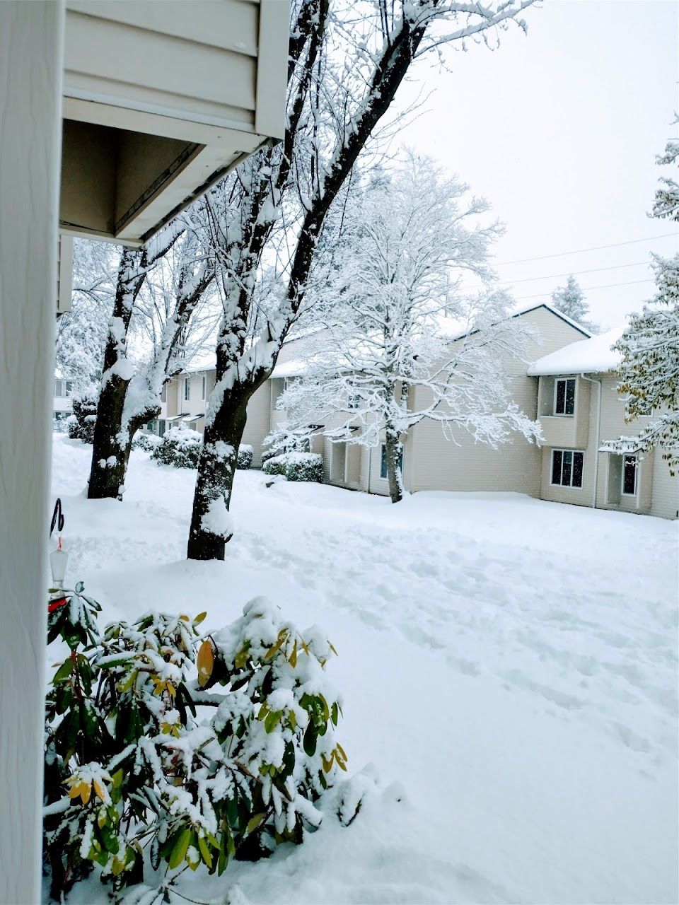 Photo of REDWOOD JUNIPER APARTMENTS. Affordable housing located at 3015 N PEARL STREET TACOMA, WA 98407