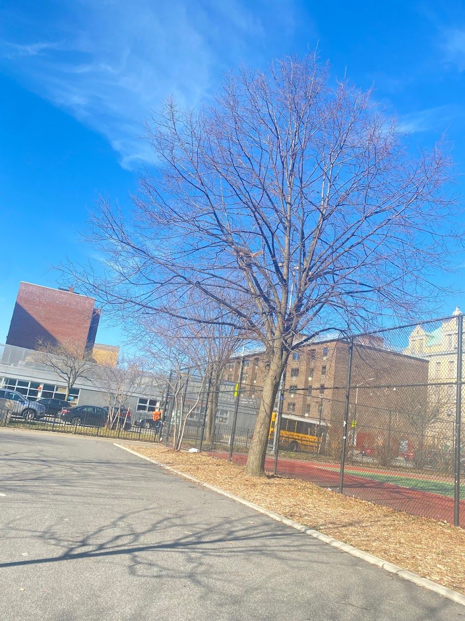 Photo of SAINT MARYS PARK. Affordable housing located at 550 CAULDWELL AVENUE BRONX, NY 10455