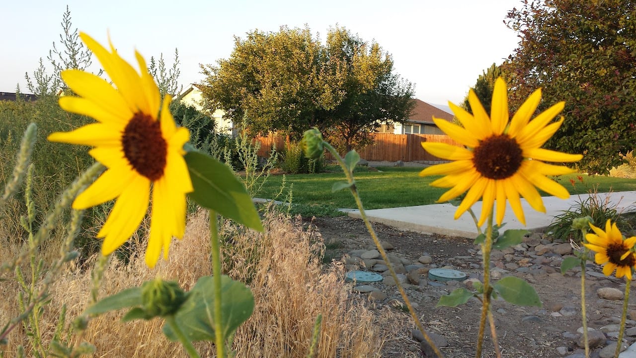 Photo of CRESTMORE VILLAGE APARTMENTS. Affordable housing located at 1330 STODICK PARKWAY GARDNERVILLE, NV 89411