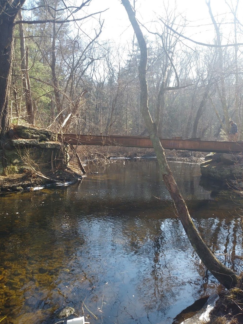 Photo of PRIMROSE VILLAGE. Affordable housing located at VALLEY RD DAYVILLE, CT 